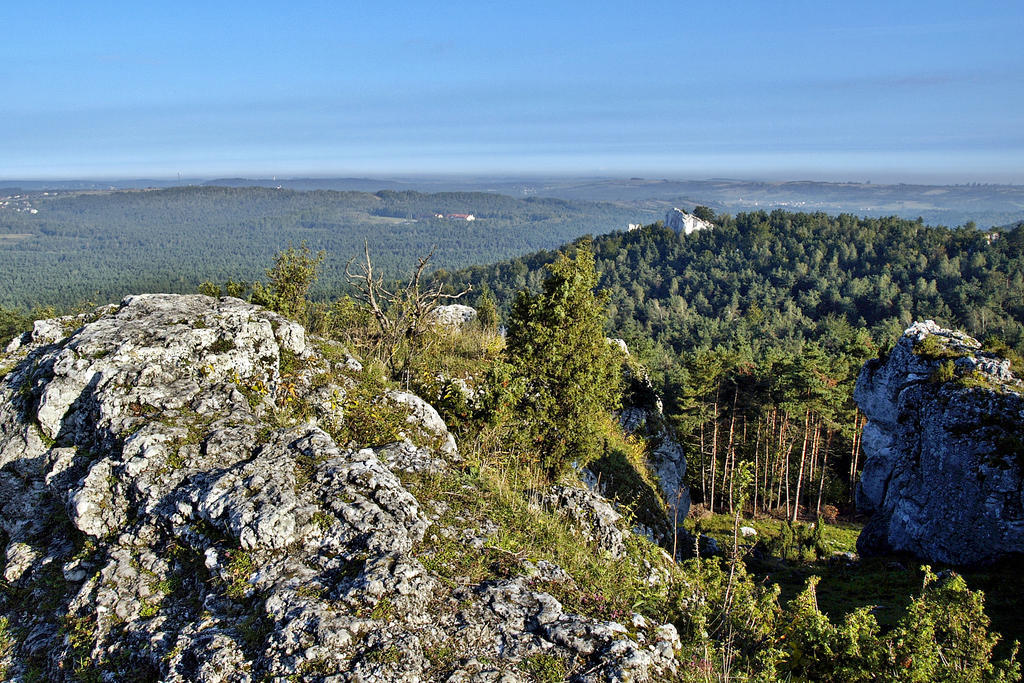 Hotel Fajkier Kroczyce Exteriör bild